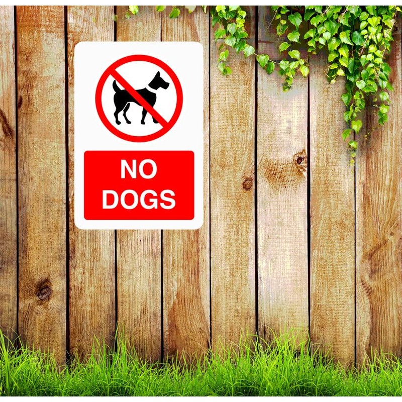 Safety First Display LTD No dogs sign - 1.2mm Rigid