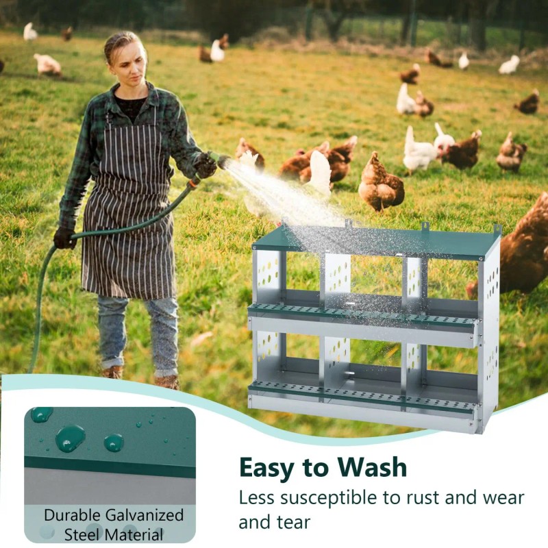 Green Metal Chicken Nesting Box with 6 Compartments Roll Away