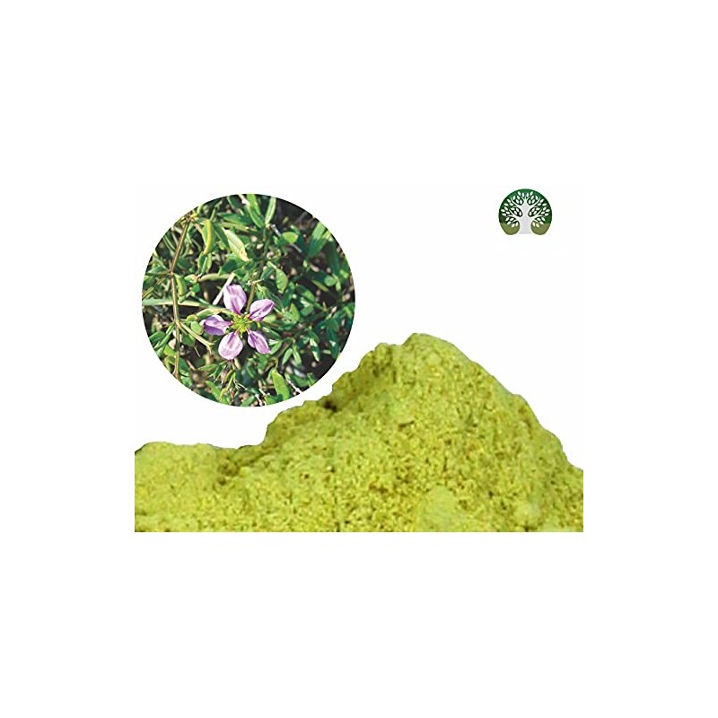 AYURVEDASHREE Fagonia cretica Powder 100 Gm | Dhamasa | Gluten