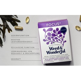 Doctor Seaweed | Focus+ Capsules | 1 Month Supply | Organic Scottish Seaweed with Vitamins