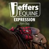 Jeffers Expression Horn Bag for Horses, Buffalo Check – Water