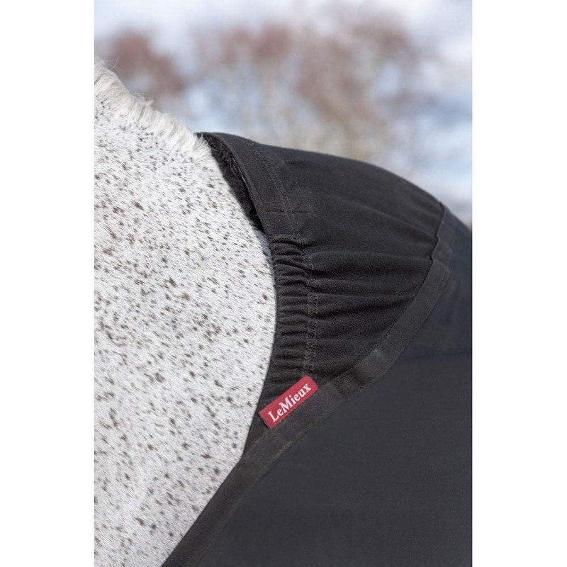 LeMieux Anti Rub Bib in Black with Elastic Belly Straps