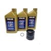 Yamaha Raptor 660 (2001-2005) all Models AP Oil Filter Change