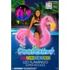 PoolCandy Inflatable Animal Swim Noodles (LED Flamingo)