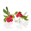 Bearberry Oil, soften pigment spots and prevent their appearance with