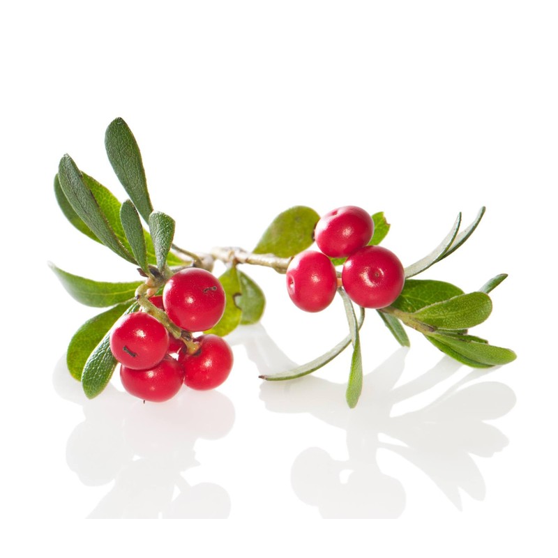Bearberry Oil, soften pigment spots and prevent their appearance with