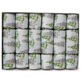 Alpine Forest Decorative Party Favors - Set of 6 party table favors with tissue crown, motto, and small handy, household gadget enclosed