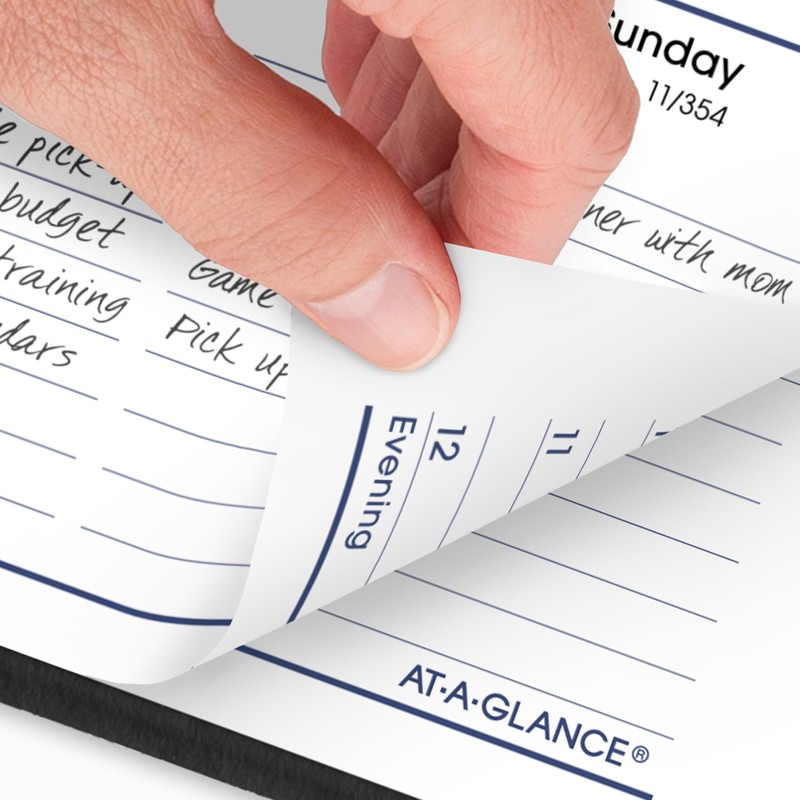 AT-A-GLANCE 2026 Appointment Book Planner, Weekly, 5" x 8", Small,