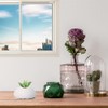 6 x Conch Plant Holders, Sea Urchins for Hanging Air