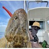 OSP Windy Windy Wind Fishing Lures for Flat Fish Flounder