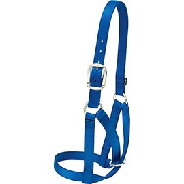Weaver Leather Livestock Cow Barn Halter , Blue, Medium