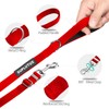 Long Leash for Dog Training - 50ft Adjustable Obedience Recall