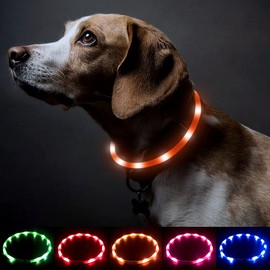 BSEEN Silicone LED Dog Collar - USB Rechargeable Light Up Puppy Collar (Orange)