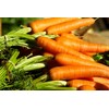 RAISE ME UP: Seeds Carrot Tip Top Non GMO Heirloom