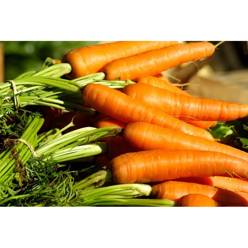 RAISE ME UP: Seeds Carrot Tip Top Non GMO Heirloom