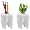 Hedume 6 Pack Tooth Shaped Planter Pots, Small Cute Flower