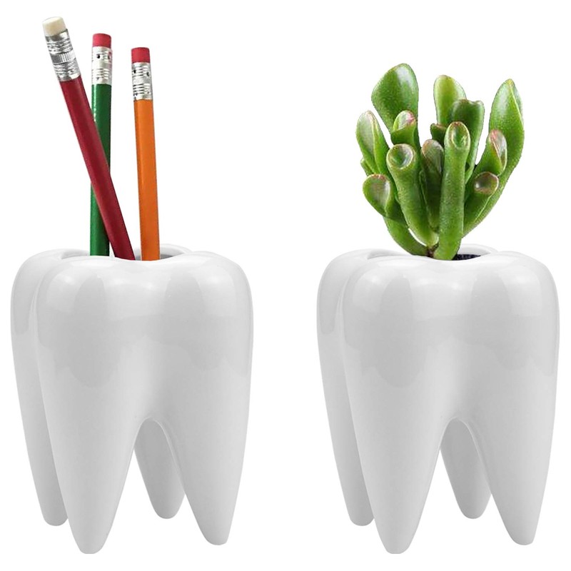 Hedume 6 Pack Tooth Shaped Planter Pots, Small Cute Flower