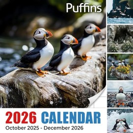 Puffins 2026 Calendar: Seabird comedians diving, nesting, and strutting