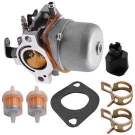 Aswalling Auto Carburetor for 5-4993 with Mounting Gasket Filter Fuel Supply System Parts Carburetor