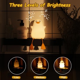 GIACOMO Nachtlicht für Kinder, Led Ente Nachttischlampe aus Silikon, Touch Steuerung mit Timer USB Tragbar Wiederaufladbar Dimmbar, Schlafzimmer Dekor Geburtstagsgeschenke für Jungen und Mädchen