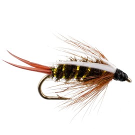 The Fly Fishing Place Weighted Nymph Fly Fishing Flies - Prince Trout Fly - 6 Flies Hook Size 10