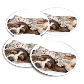 Vinyl Stickers (Set of 2) 10cm - Sleepy Puppy & Kittens Dog Cat Fun Decals for Laptops,Tablets,Luggage,Scrap Booking,Fridges #14305