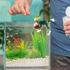 Znnhnn Hanging Frogs, Flower Pot, Hanging Frogs, Decorative Figures (Green-3)