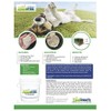 BioFill Pet Deodorizer Granular Infill for Artificial Grass Turf, All