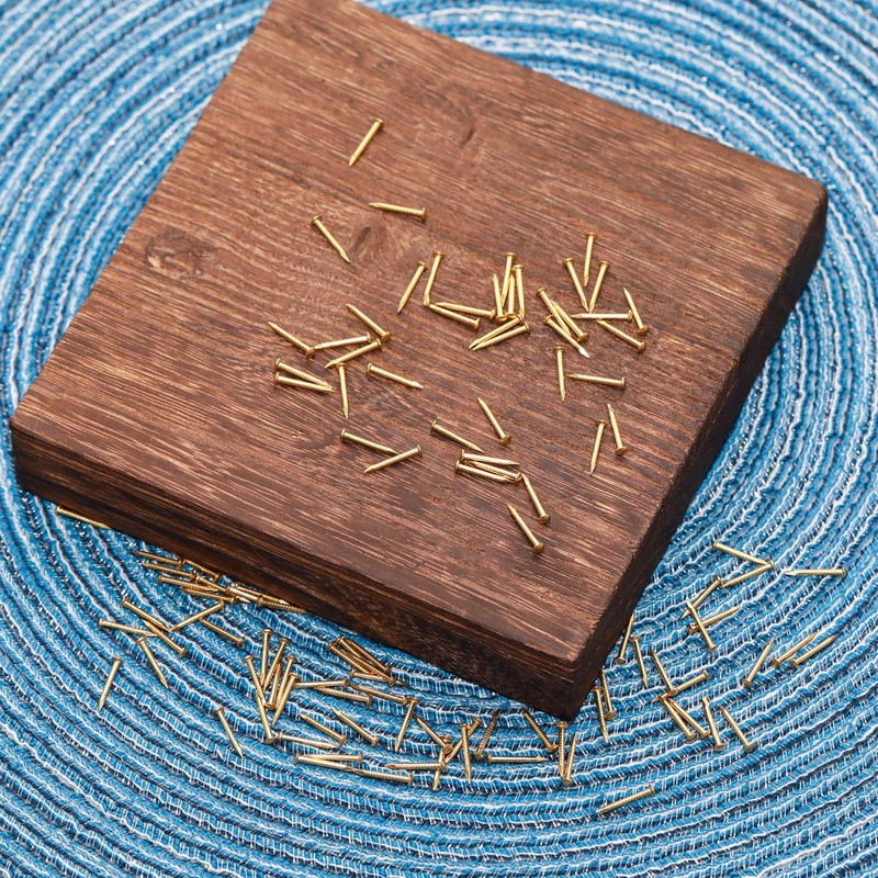 Pocoxll 100 Pcs Tiny Brass Nails, Decorative Wooden Nails for