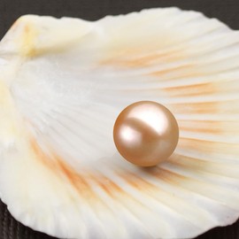 Japanese Freshwater Loose Cultured Pearls AAAA Graded Pink Color 9mm Half Drilled for Jewelry Making Rings, Pendants, Earrings Add On Beads – Orien Jewelry