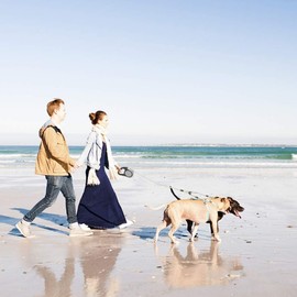 KOOLTAIL Dual Retractable Dog Leash for Two Dogs Up to 110 Lbs, Heavy Duty Double Headed 16 ft Extendable 360° Tangle-Free One Button & Lock Brake Dog Leash for Small Medium Large Dogs Grey