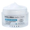 Crema Facial IZEZE Coreana Hydro con Niacinamida y Centella Asiática