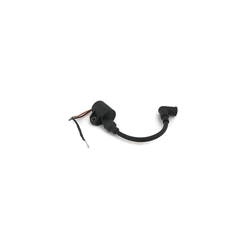 Ignition Coil Ign Entertainment ASSY Alternator Fit For Yamaha Parsun