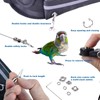 Hands-Free Bird Harnesses Suitable for Cycling and Driving Outdoors and
