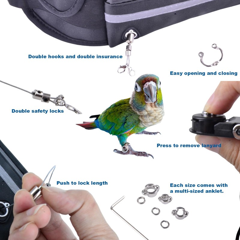 Hands-Free Bird Harnesses Suitable for Cycling and Driving Outdoors and