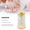 Rose in Glass Dome Lucky Beautiful Symbolism Romantic Enchanted Rose