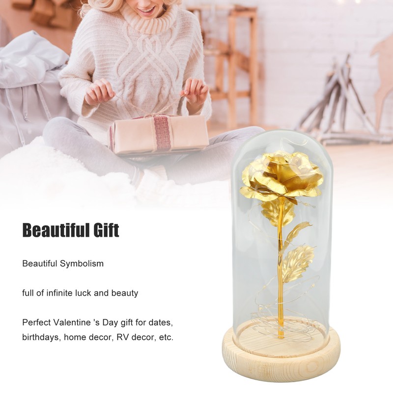 Rose in Glass Dome Lucky Beautiful Symbolism Romantic Enchanted Rose