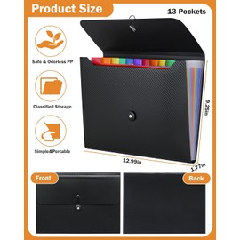 JDSI Accordian File Organizer Expanding File Folder, 13 Pockets, A4 Letter Size Paper Document Receipt Folder for Classroom, Home, Office and Travel (2)