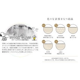 Peanuts Storm Glass, Weather Forecast, Crystal, Interior, Stylish, Changes Expressions Depending on the Weather