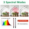 Full Spectrum 84 LED Grow Light for Indoor Plants, 6500K