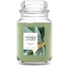 Yankee Candle ☆☆HOLIDAY SAGE☆☆LARGE YANKEE CANDLE JAR 22OZ☆☆ WINTER SCENTED