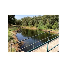 Healthy Ponds Blast Pond Water Cleaner, 5 Water Soluble Packets; Each Packet Treats Up To 2,500 Gallons