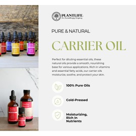 Plantlife Massage Oil Base Carrier Oil - Cold Pressed, Non-GMO, and Gluten Free Carrier Oils - for Skin, Hair, and Personal Care - 4 oz