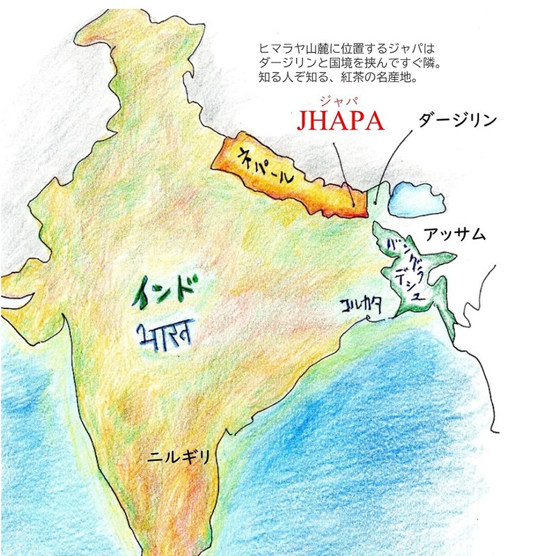 JEAU CHAU MITTAL TEA CTC Tea Leaf Tea Chai Tea