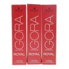 Schwarzkopf Igora Royal 5-4 Pack of 3 x 60 ml