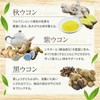 【公式】 わかさ生活 わかさのクルクミン クルクミン サプリ 高吸収 ４種のウコンパウダー サプリメント 31粒 1ヶ月分