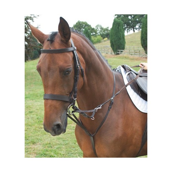 Shires German Martingale Full Havana