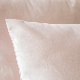 MIULEE Pack of 2, Velvet Soft Solid Decorative Square Throw Pillow Covers Set Cushion Case for Sofa Bedroom Car 20 x 20 Inch 50 x 50 cm