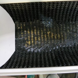 Fine Gold Stop Mat 5 1/2" X 24" for Martin Prospecting Mini Sluice Box Matting