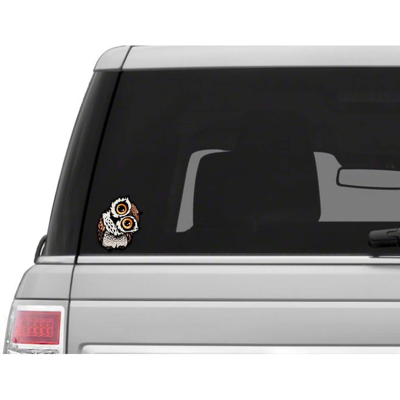 Vinyl Junkie Graphics Owl Staring Sticker/Decal